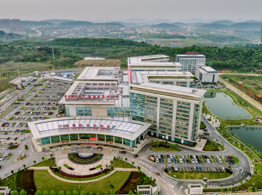 中亞工程案例展示丨積極參與改革建設，為理想添磚加瓦